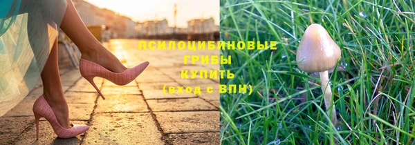 метадон Лабытнанги