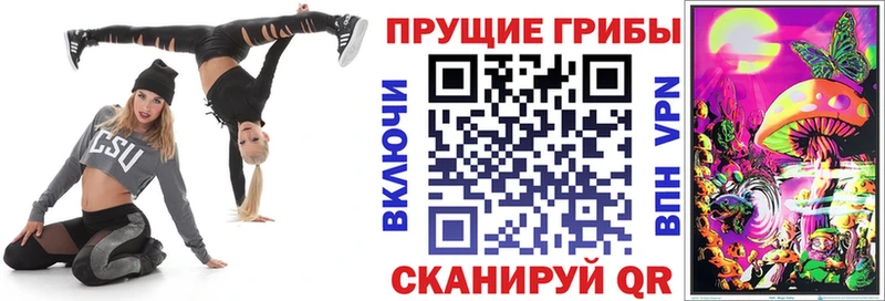Псилоцибиновые грибы ЛСД blacksprut ссылки Медвежьегорск