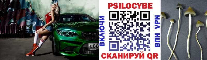 Псилоцибиновые грибы Psilocybine cubensis Медвежьегорск